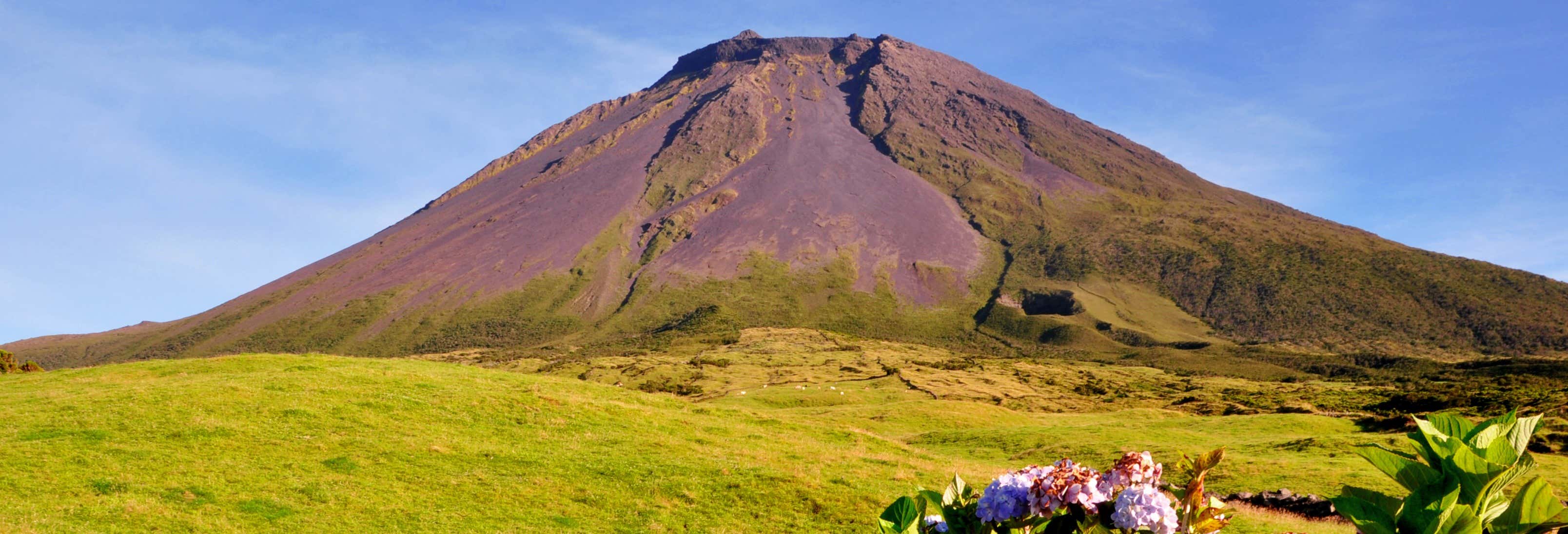 Pico Island Volcanoes & Lakes Tour