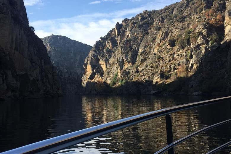 Imagen 10