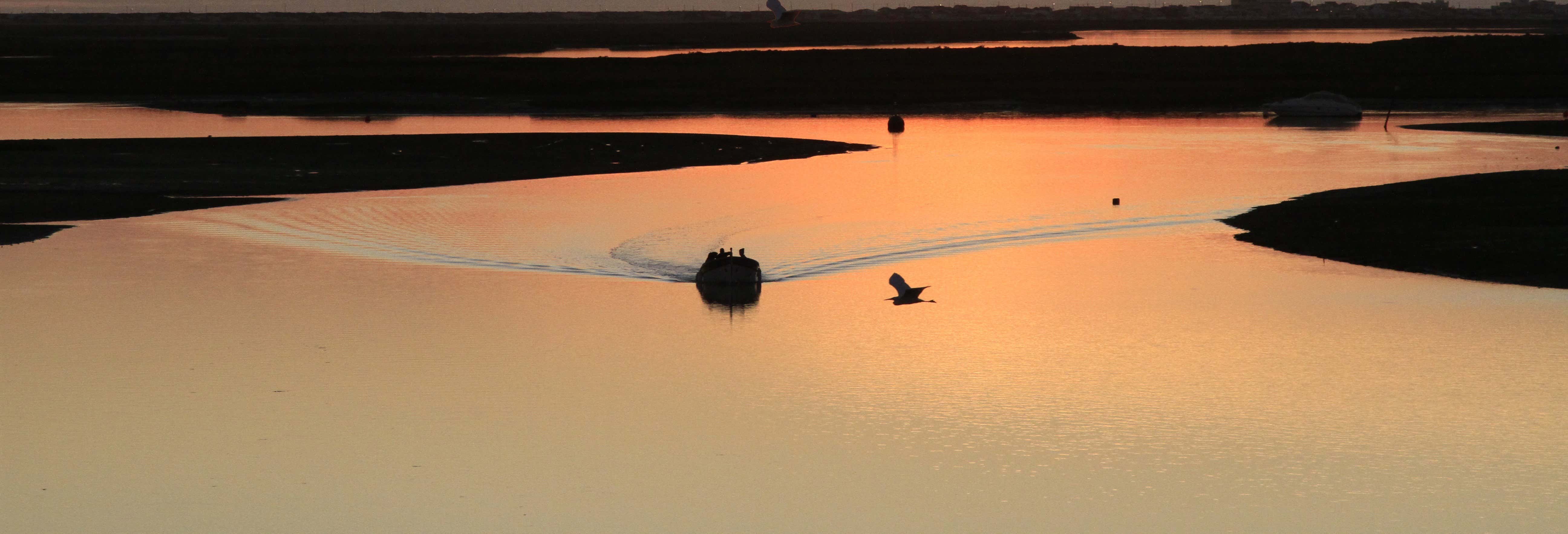 Ria Formosa Sunset Cruise