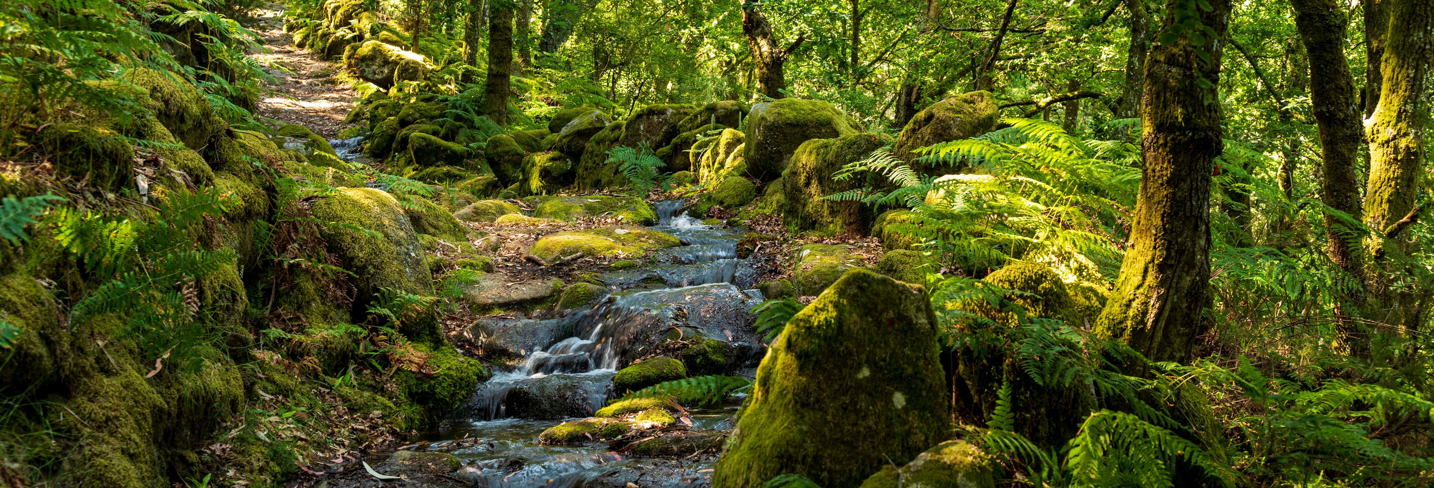 Canyoning no Parque Nacional da Peneda-Gerês