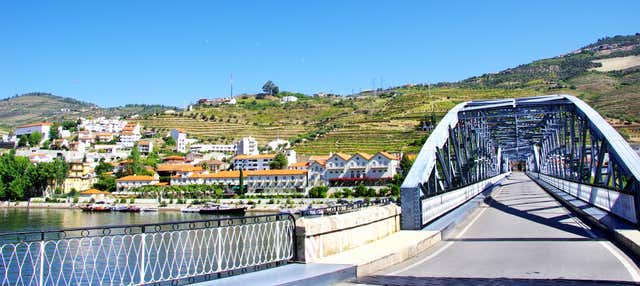 Crociera di 1 giorno a Pinhão
