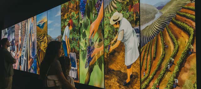 Entradas para Wine Experience