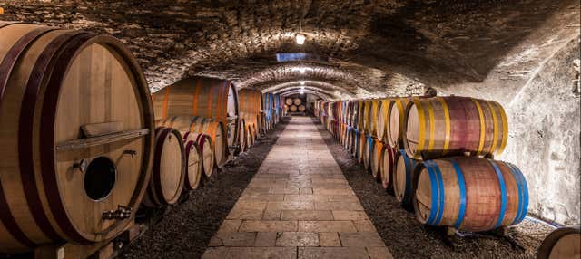 Tour di vigneti e cantine nella Valle del Douro