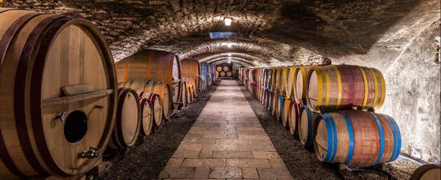 Tour de viñedos y bodegas por el Valle del Duero