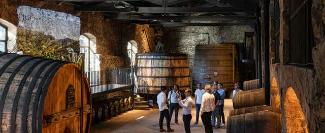 Visita a la bodega Burmester