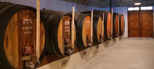 Visita alla cantina Poças di Porto