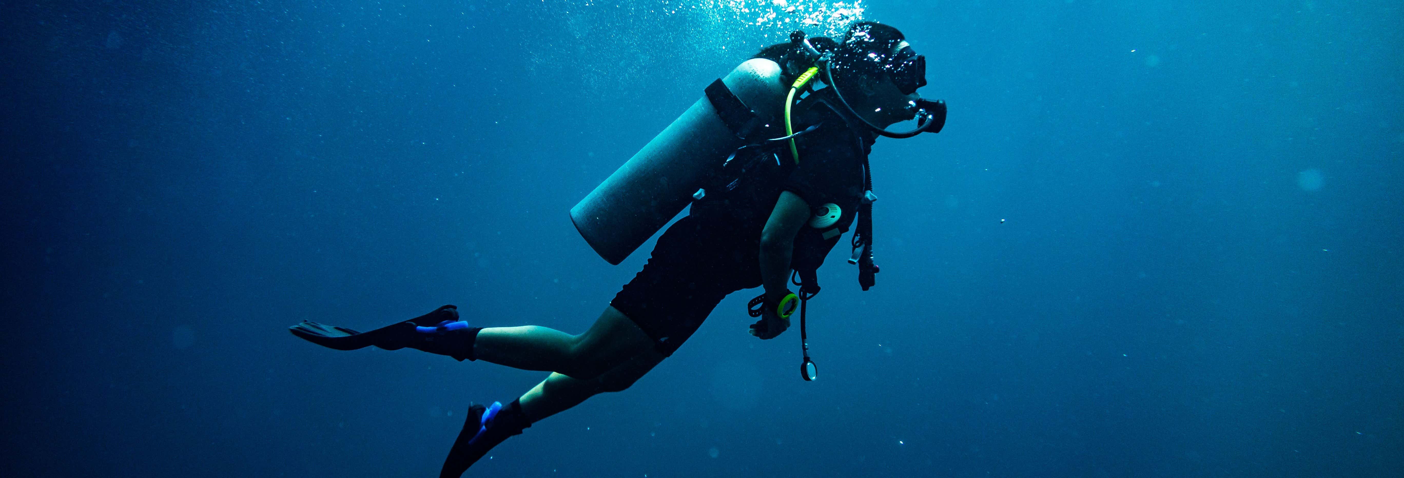 Beginner's Dive on Berlenga Grande