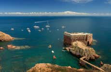 Berlengas Islands & Caves Boat Tour