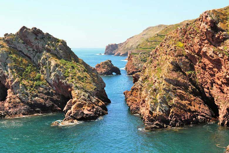 Imagen 5