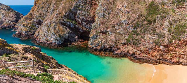 Snorkeling a Berlenga Grande