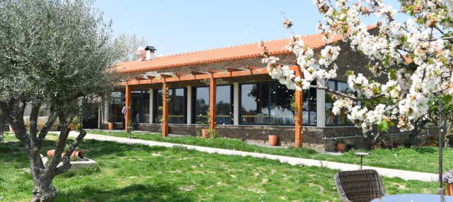 Escursione alla cantina Quinta da Avessada