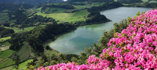 Escursione a Furnas + Piantagioni di té