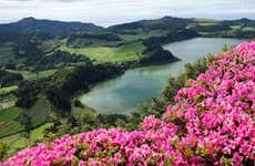 Furnas Day Trip + Gorreana Tea Plantations