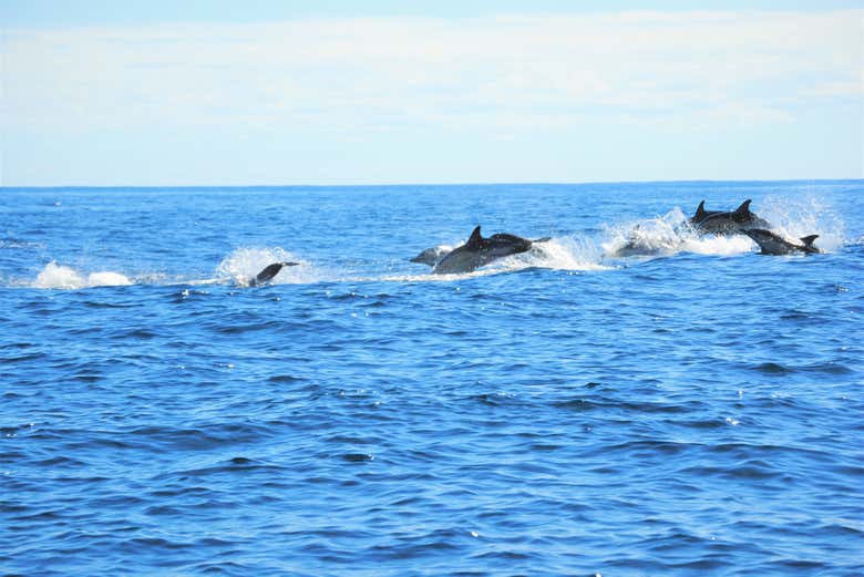 Imagen 8