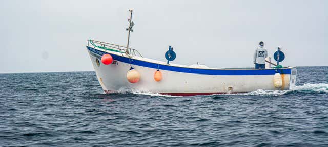 Pesca a Rabo de Peixe