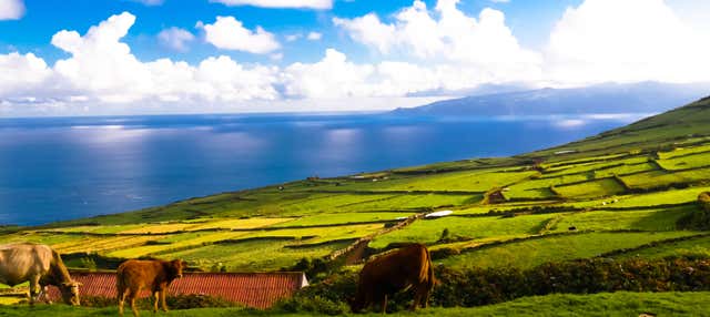 Escursione all'isola di Corvo