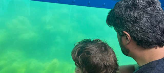 Giro in barca con fondo trasparente