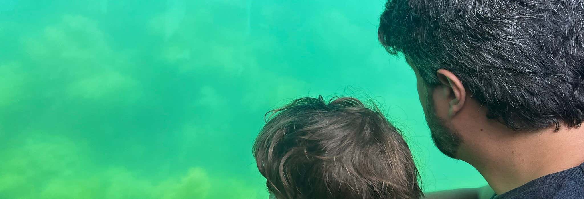 Giro in barca con fondo trasparente