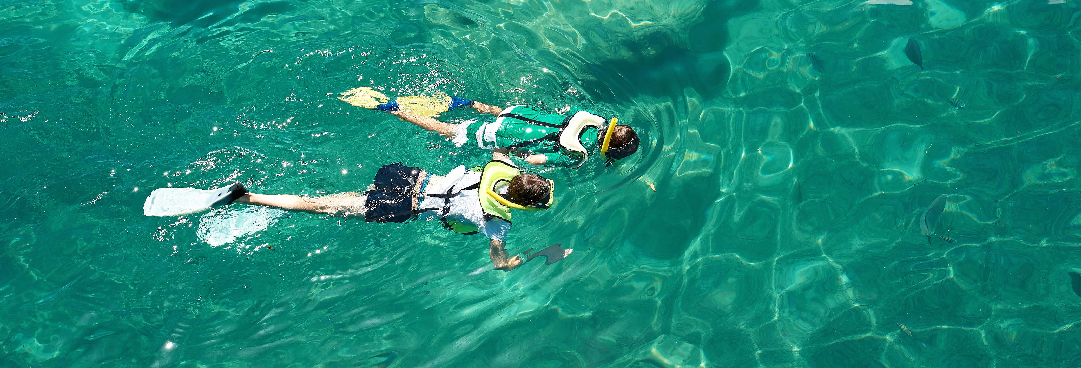 Snorkeling in Arrabida Natural Park