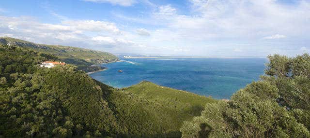 Tour di Arrábida + Degustazione di vino