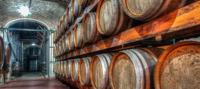 Visita a due cantine di Arrábida + Fabbrica di piastrelle