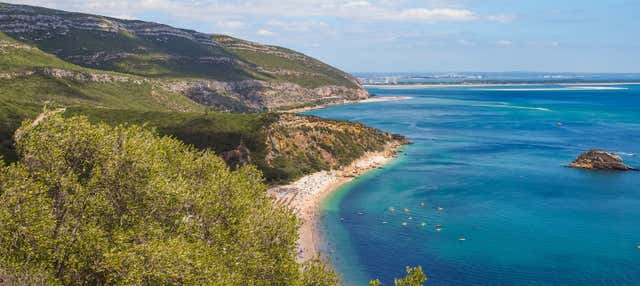 Tour di Arrábida + Degustazione di vino
