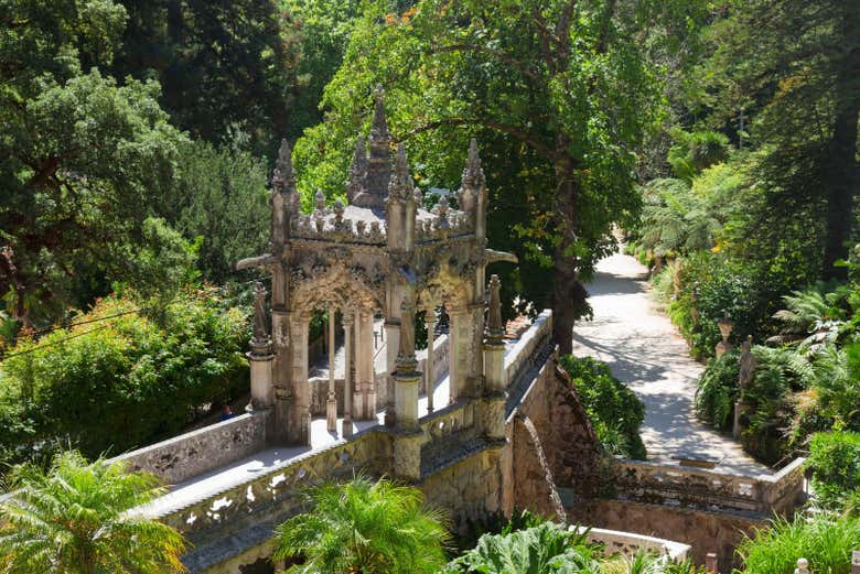 Imagen 5