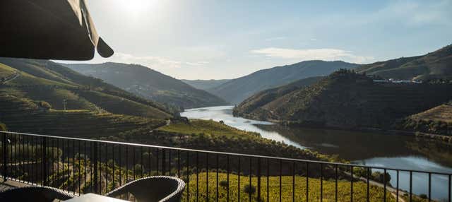 Degustazione di vino alla cantina Quinta São Luiz