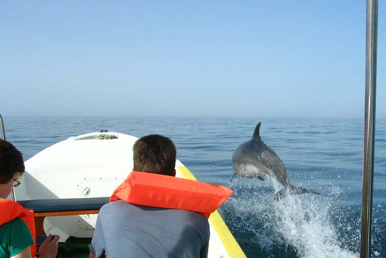 Imagen 3