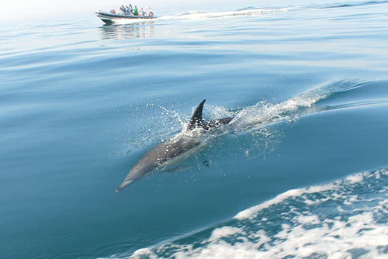 Imagen 8