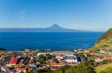 Private Tour of São Jorge