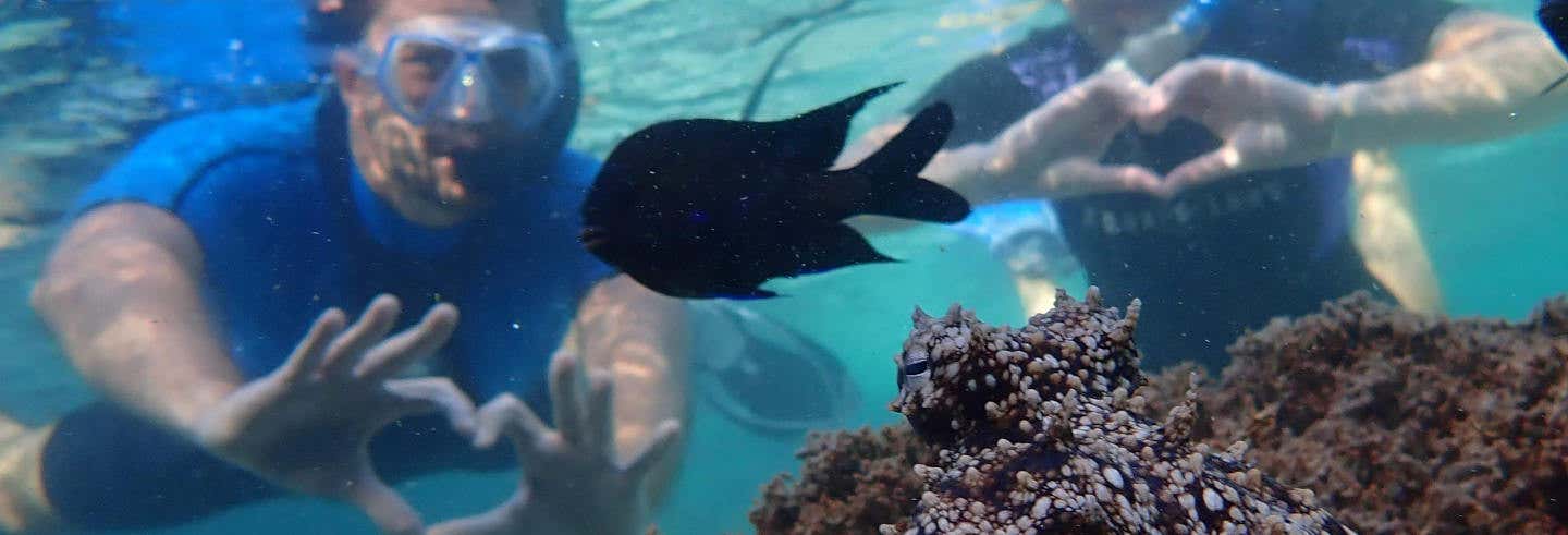 Porto dos Frades Snorkelling