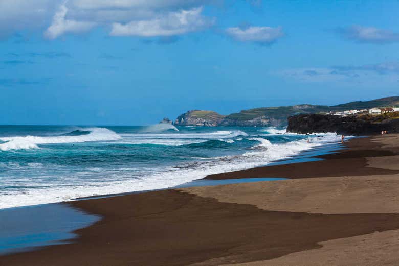 Imagen 8