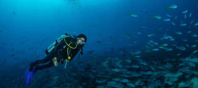 Immersione a São Miguel