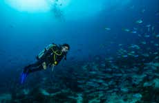 Scuba Diving in São Miguel
