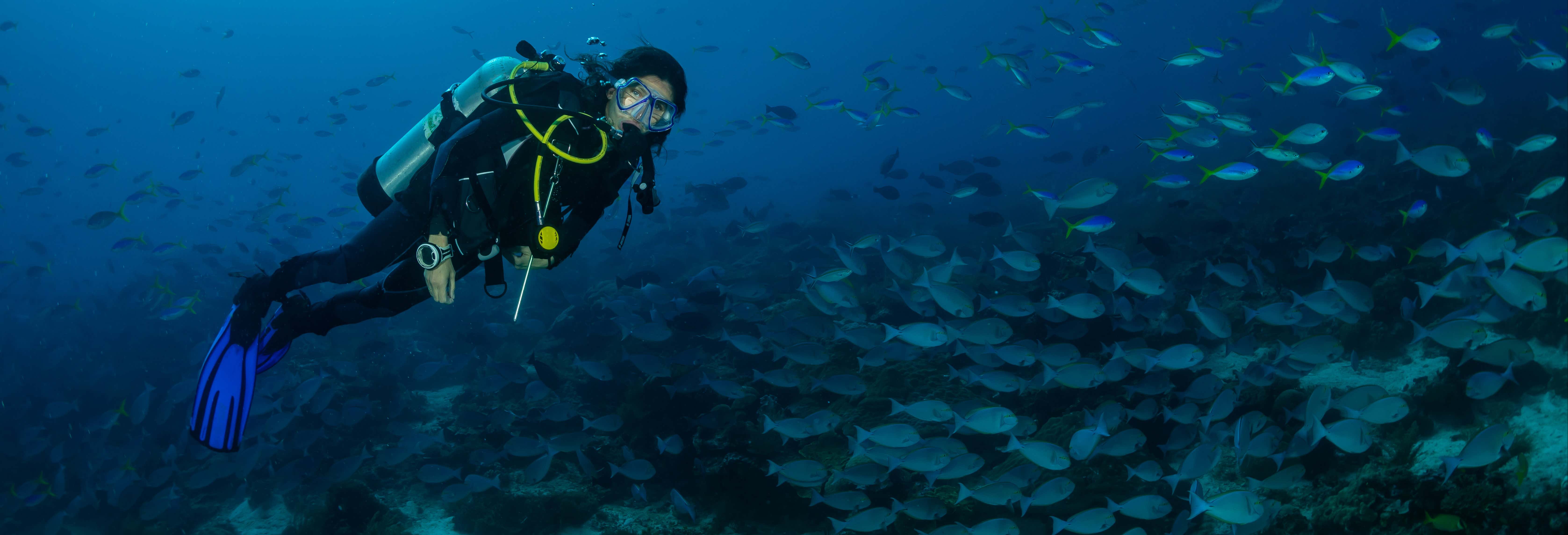 Scuba Diving in São Miguel