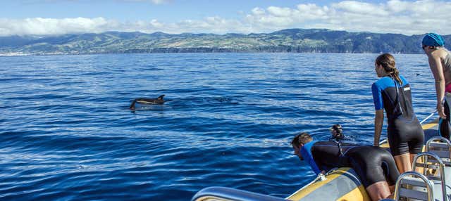 Bagno con i delfini a Vila Franca do Campo
