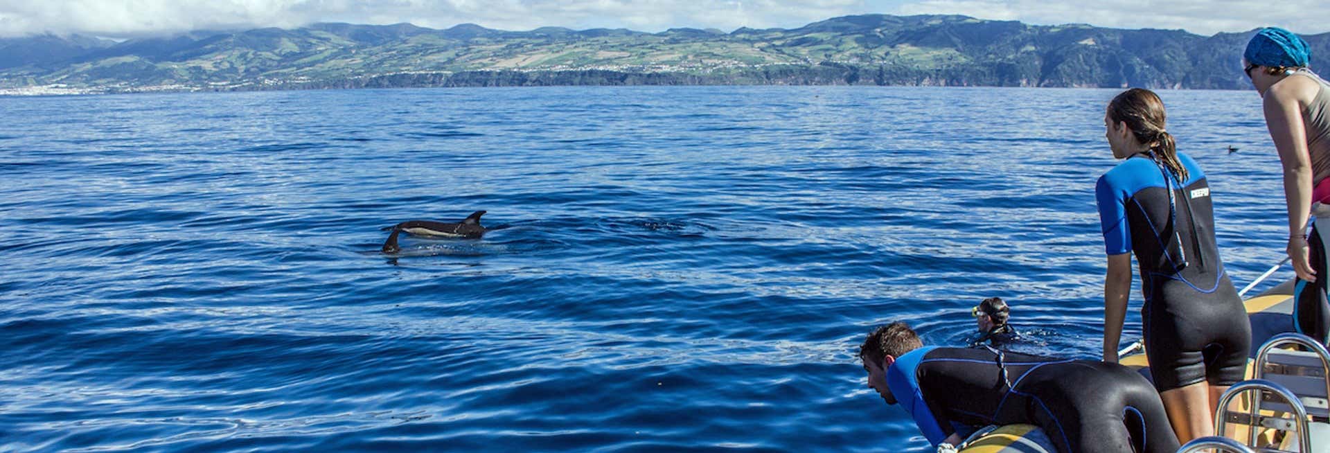 Bagno con i delfini a Vila Franca do Campo