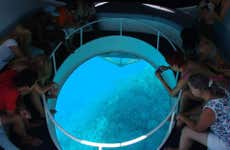 Vila Franca do Campo Glass-Bottom Boat Tour