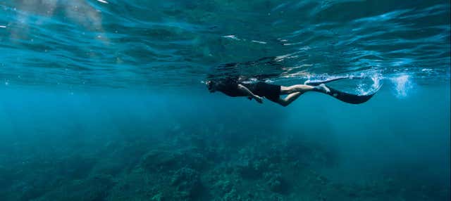 Snorkeling a São Miguel