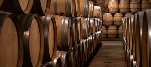 Degustazione di vino a The Wine School