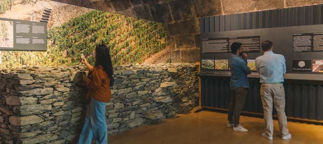 Visita alla cantina Fonseca con cena e spettacolo di fado