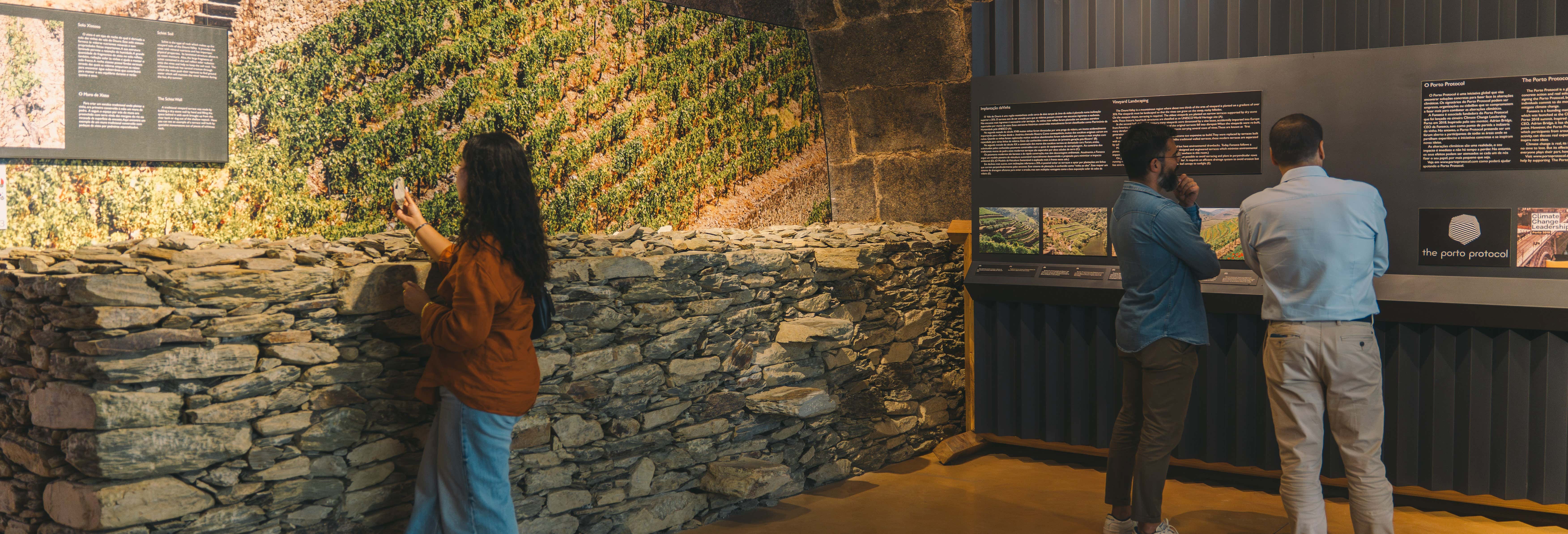 Fonseca Winery Tour + Fado Show