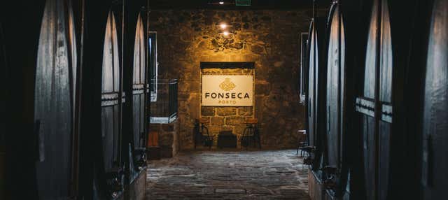 Visita della cantina Fonseca