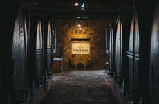 Visita à vinícola Fonseca