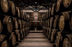 Visita à vinícola Taylor's