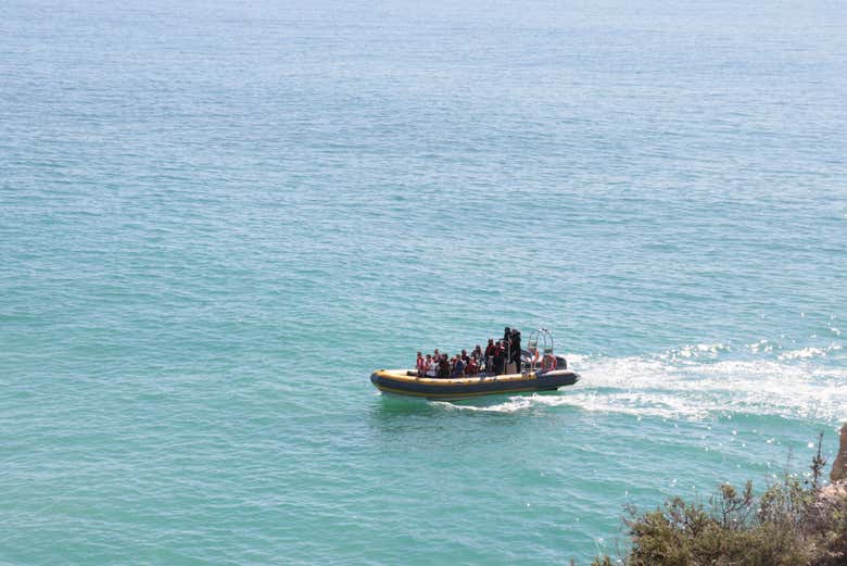 Imagen 5