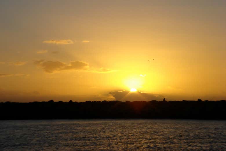 Imagen 4
