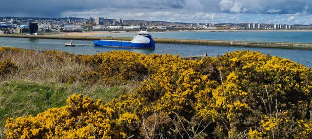Escursione al castello di Dunnottar + Aberdeenshire Coastal Trail