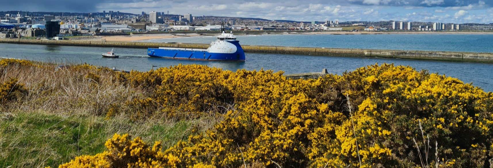 Escursione al castello di Dunnottar + Aberdeenshire Coastal Trail